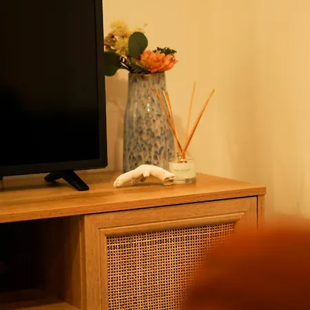 Apartment Viela T1