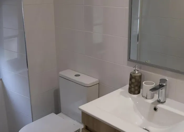 Viela T1 * 巴塞卢什